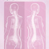 Adjustable Back Stretcher for Spine and Posture Support