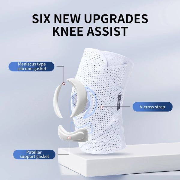 Pattes d'oreille blanche avec améliorations comme un joint de ménisque et un joint de support patella