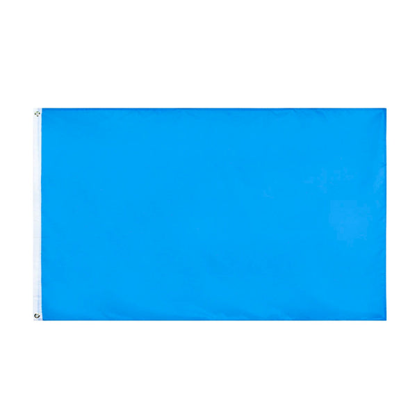 A rectangular solid blue display flag with white grommets on the sides.