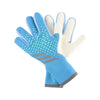 A pair of blue and white goalkeeper gloves shown with a light background.