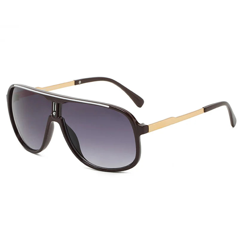 Classic neutral sunglasses with dark lenses and gold-toned frames shown against a white background.