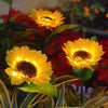 Three bright yellow solar sunflower LED stake lights blooming in a dark garden setting.