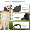 A light-colored dog wearing a black ear muff, with detailed features shown in inset images.