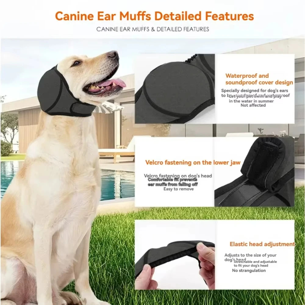 A light-colored dog wearing a black ear muff, with detailed features shown in inset images.