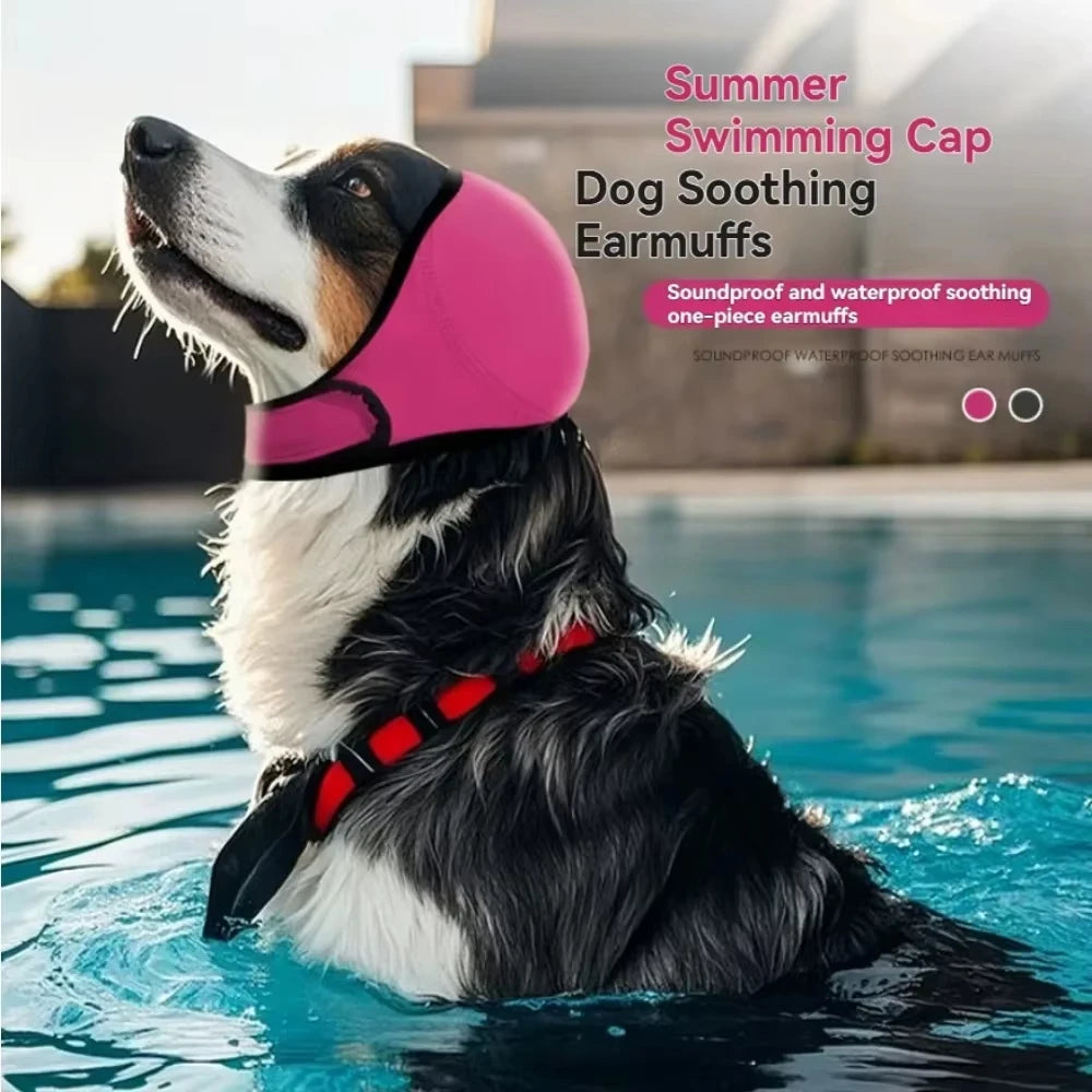 A dog wearing a pink swimming cap and earmuffs is floating in blue water.