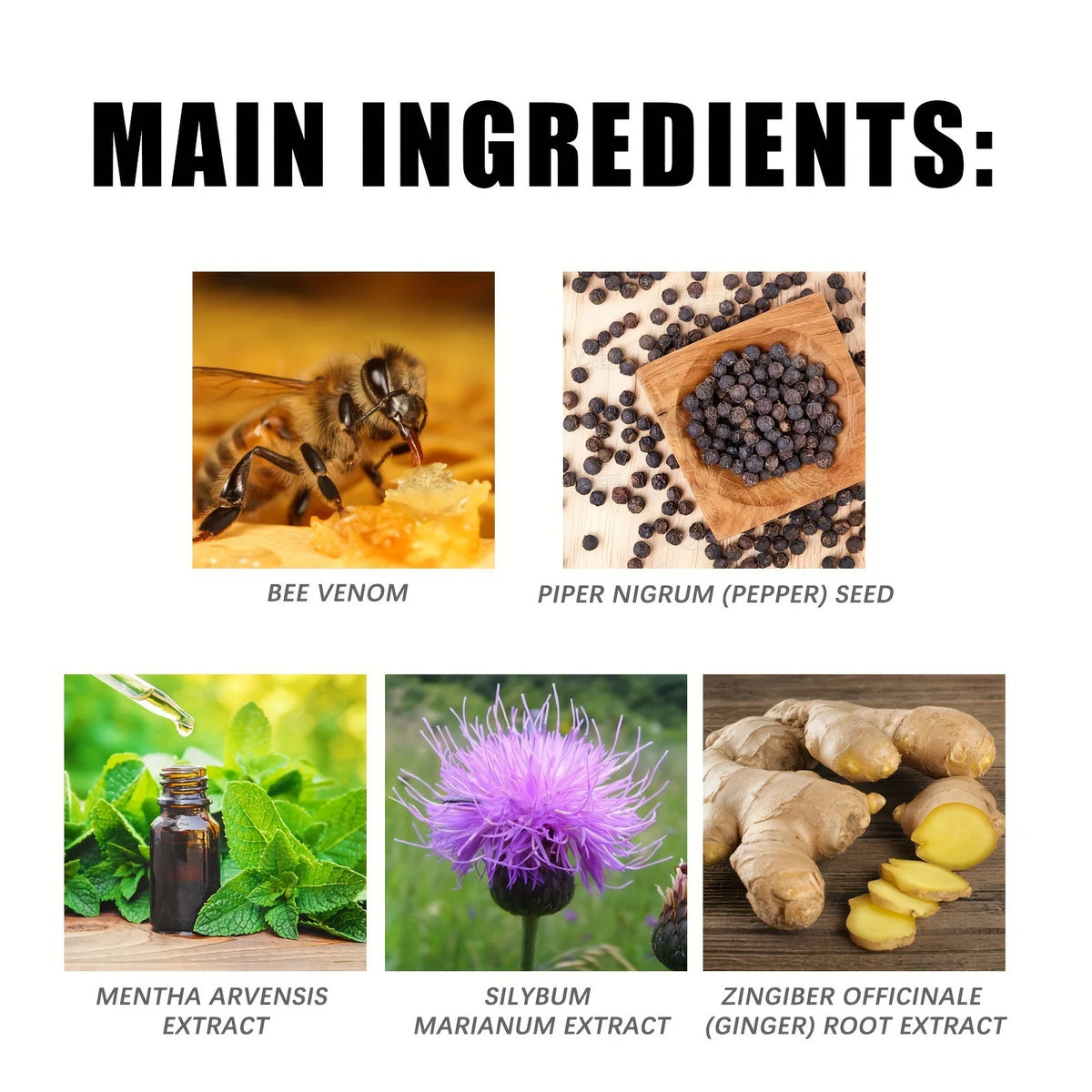 Ingredients shown include bee venom, piper nigrum seed, mentha arvensis extract, silybum marianum extract, and zingiber offic