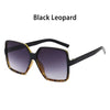 Black leopard print vintage oversized retro sunglasses with black frames