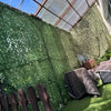 A dense green hedge wall covered in climbing vines next to a wooden fence and a corrugated metal roof structure.