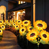 A row of bright yellow solar sunflower LED stake lights lining a pathway at night.