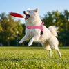 Heavy-Duty No-Pull Dog Harness with Reflective Vest