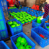 A variety of green and blue soccer training discs are displayed in plastic crates and baskets.