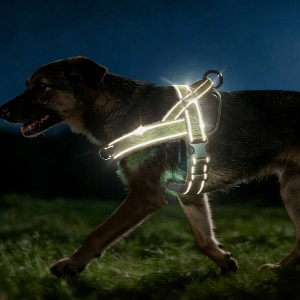 Heavy-Duty No-Pull Dog Harness with Reflective Vest
