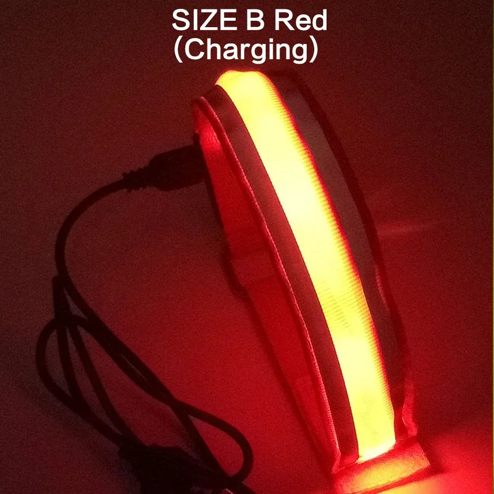USB Rechargeable LED Safety Armband for Night Running and Cycling