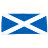 Un drapeau bleu avec un motif de croix blanche.