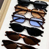 A set of eight retro fashion sunglasses in various brown, tortoiseshell, and blue shades displayed on a white card.