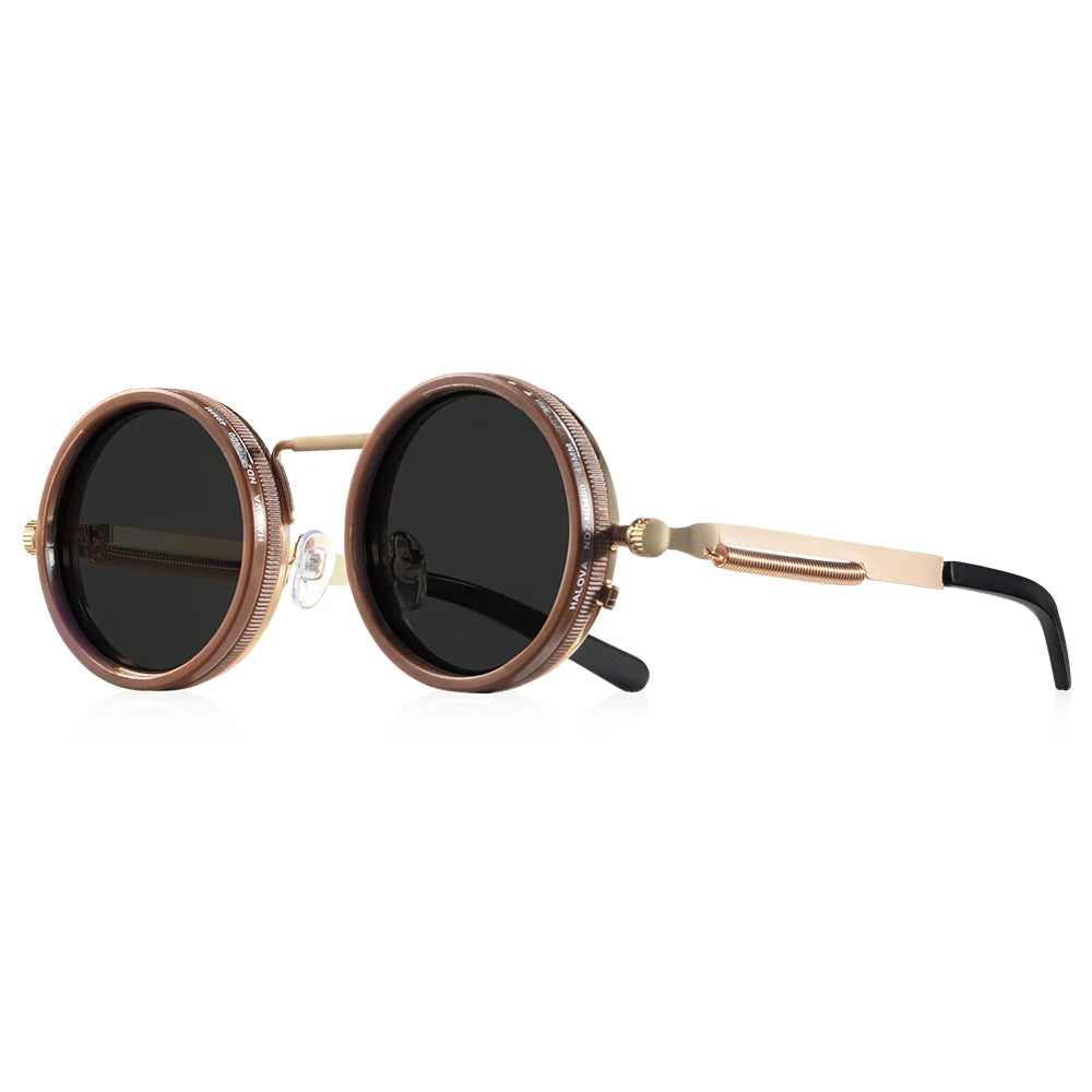 Lunettes de soleil polarisées à monture marron avec accents dorés et verres noirs