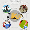 Set de entrenamiento de agilidad con diversas situaciones deportivas como velocidad, baloncesto, boxeo y fútbol.