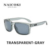 Transparent-gray NAICOKI spectacles sunglasses with a silver frame and tinted lenses