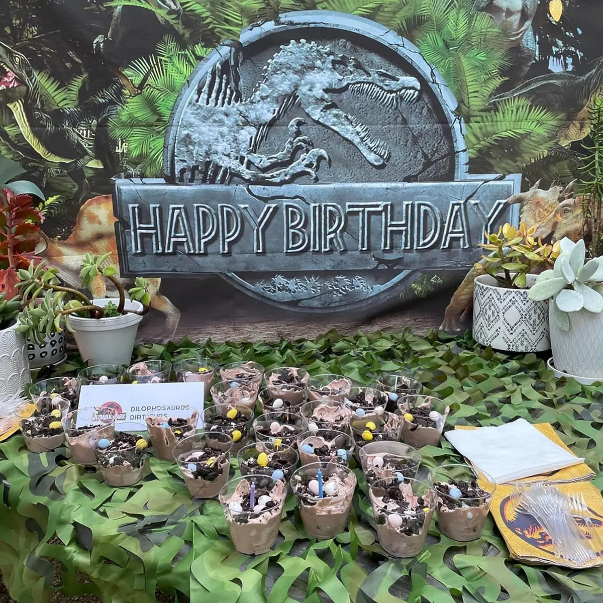 A display of small potted plants and decorative items set against a backdrop featuring a large sign that reads HAPPY BIRTHDAY