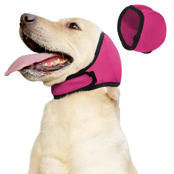 A light-colored dog is wearing a pink noise reduction ear muff on its head.