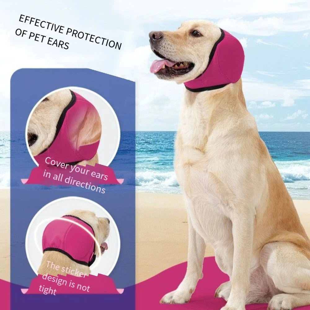 A golden retriever wearing a pink pet ear muff, demonstrating effective protection for pet ears.