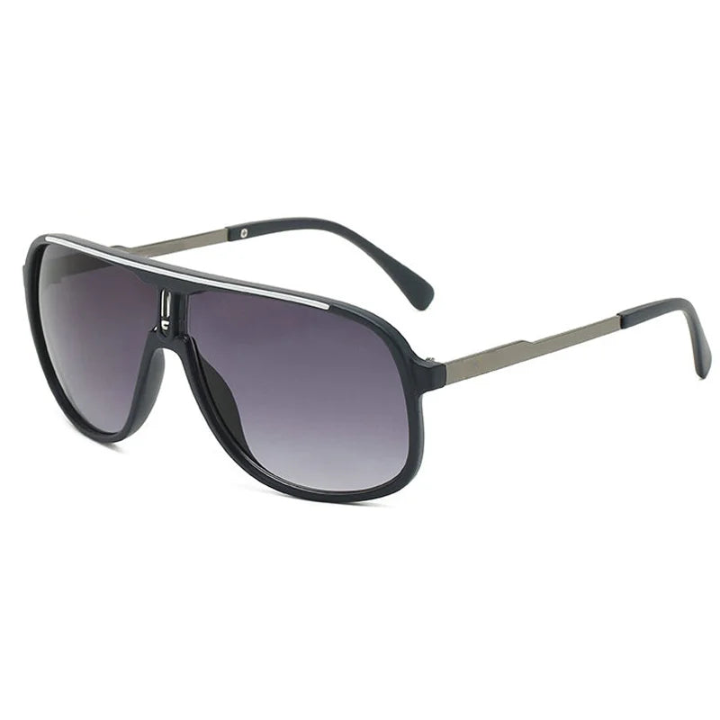 Classic neutral sunglasses with dark lenses and a silver frame shown against a white background.