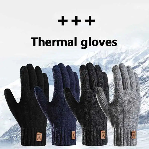 A close-up of black and navy thermal gloves shown against a snowy mountain background.