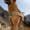 Heavy-Duty No-Pull Dog Harness with Reflective Vest