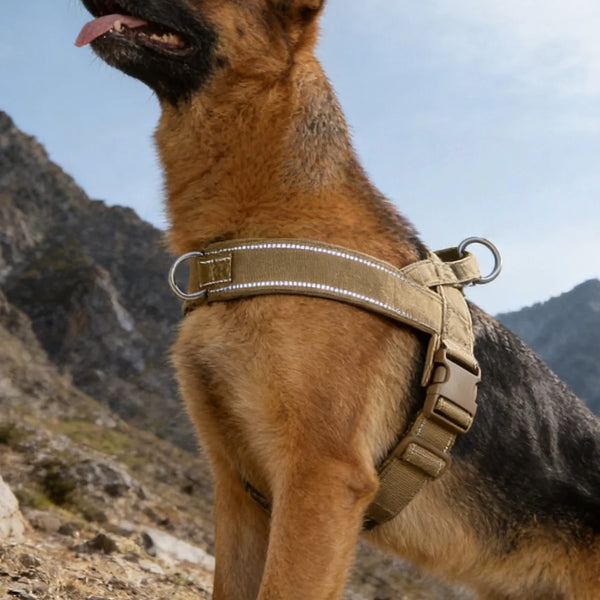Heavy-Duty No-Pull Dog Harness with Reflective Vest