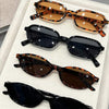 A set of five retro fashion sunglasses with various brown and black tinted lenses and frames displayed in a white box.