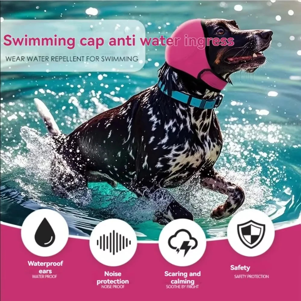 A black dog wearing a pink swimming cap and blue collar is shown splashing in water, with icons highlighting waterproof ears,