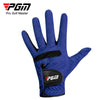 A dark blue PGA Pro Golf Master glove shown against a white background.