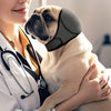 A light-colored dog is wearing a dark gray noise reduction ear muff while being held by a person in a white coat.