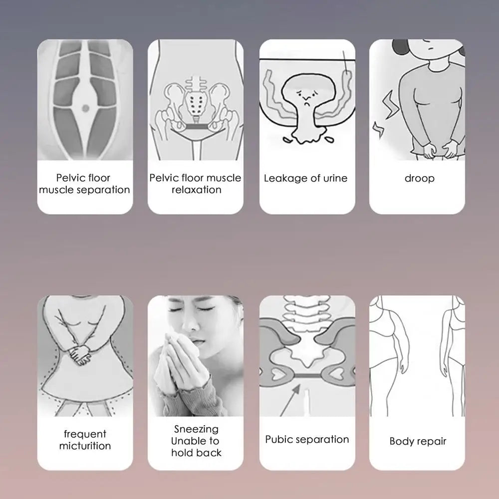 Diagrams illustrating pelvic floor muscle separation, relaxation, urine leakage, droop, frequent micturition, sneezing inabil