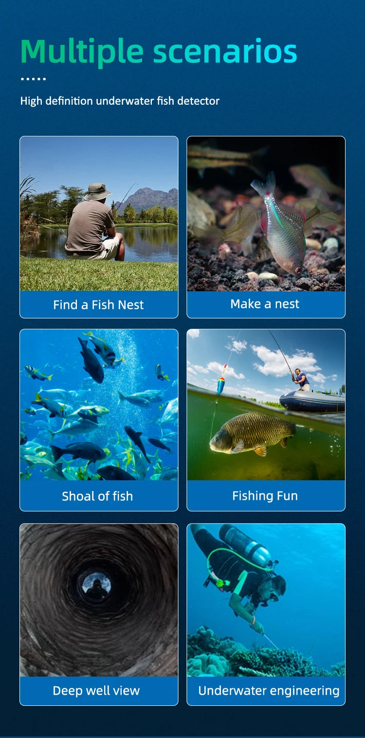 Multiple scenarios showing underwater fishing, such as finding a fish nest, making a nest, a school of fish, fishing fun, dee