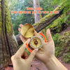 Vintage Brass Compass for Outdoor Navigation