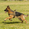 Heavy-Duty No-Pull Dog Harness with Reflective Vest