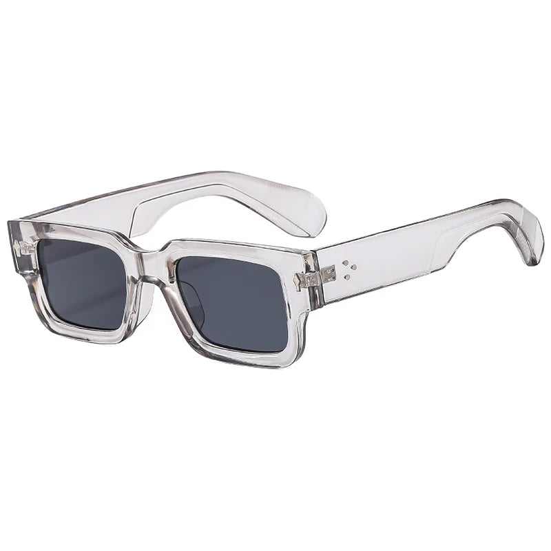 Clear acetate frame sunglasses with dark lenses and a silver rivet detail